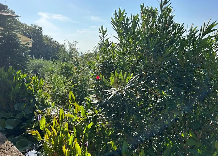 Agriturismo Al Robale