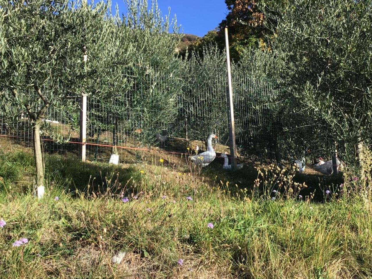 Al Robale * Almenno San Bartolomeo